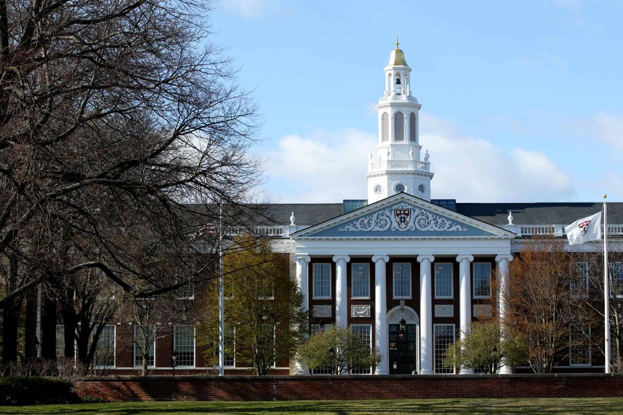 News harvard university