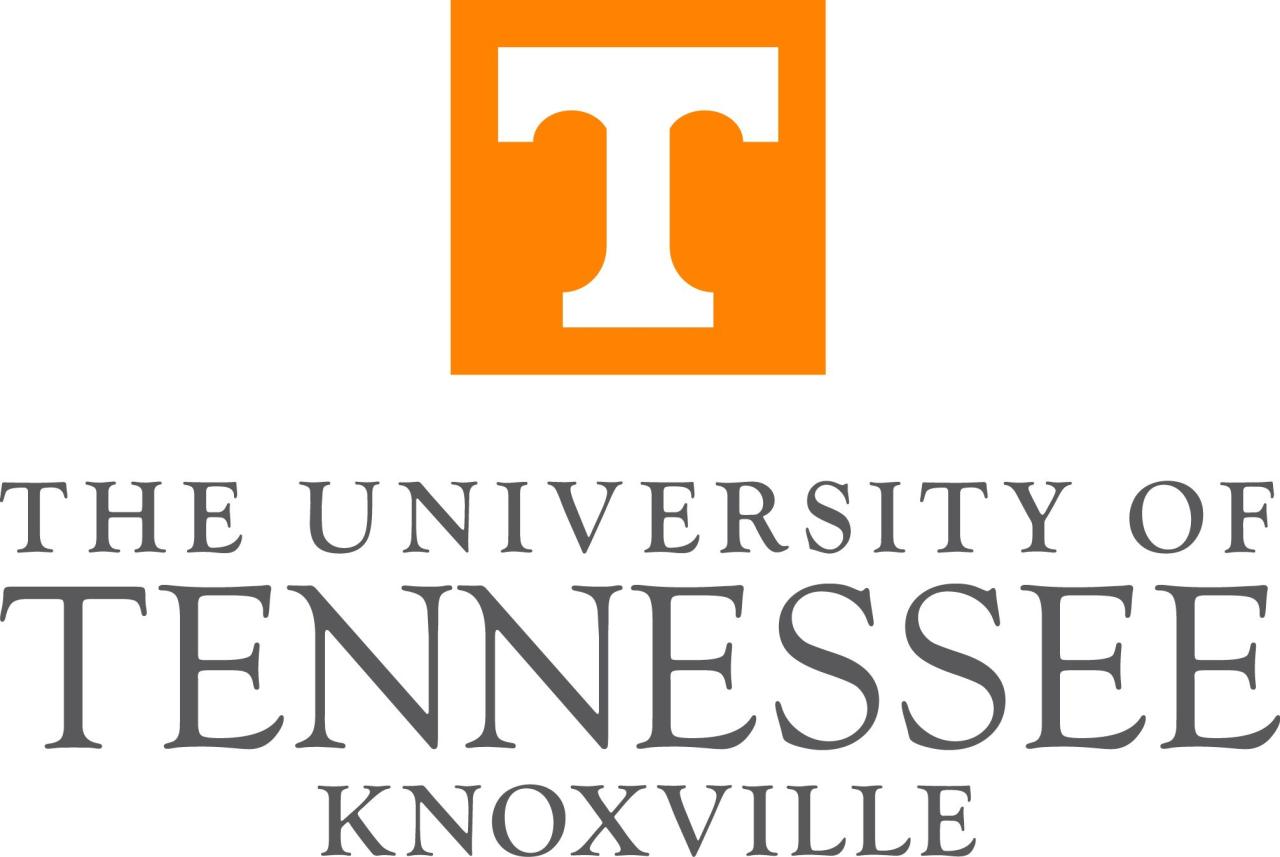 University of tn news