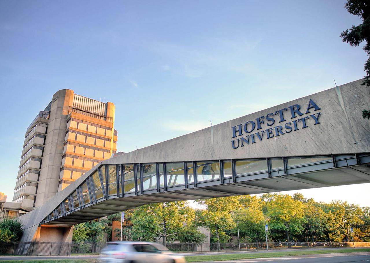 Hofstra university ranking